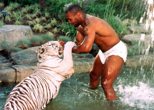 Thú chơi ngông thích nuôi hổ của Mike Tyson và giai thoại mất oan 6 tỷ đồng vì để vật nuôi ăn thịt người - Ảnh 3.