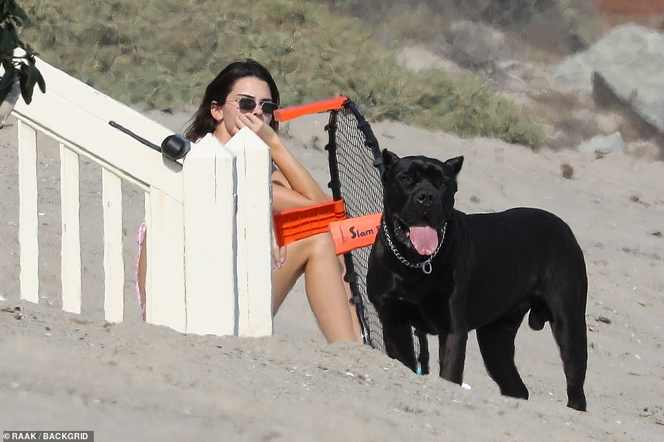 Kendall Jenner công khai âu yếm sao bóng rổ NBA trên bãi biển - Ảnh 7.