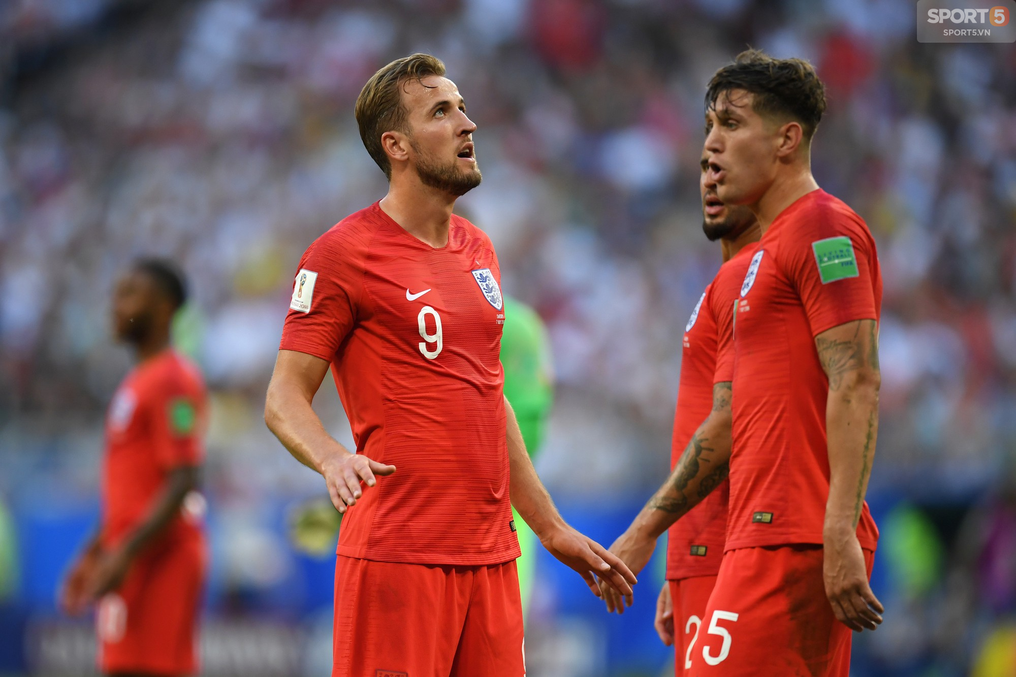 CĐV Nga hát cổ vũ Anh trước trận bán kết World Cup - Ảnh 2.