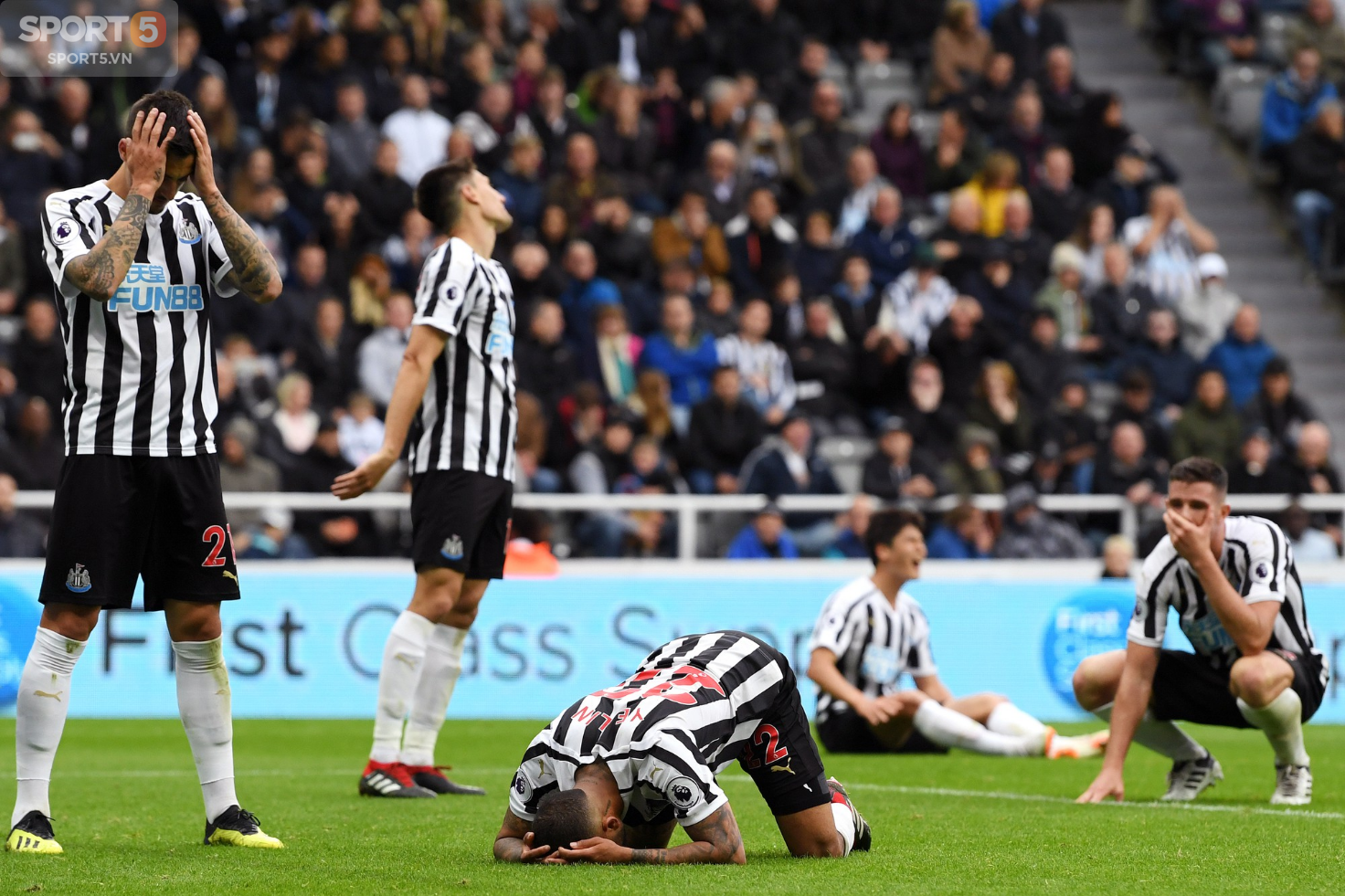 Hài hước: Cầu thủ Newcastle từ người hùng thành tội đồ trong vỏn vẹn 5 phút - Ảnh 7.