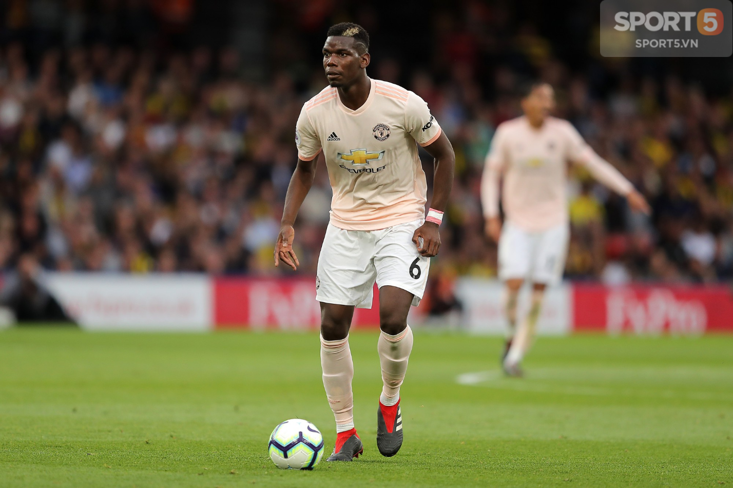 Paul Pogba và những cầu thủ nổi tiếng có thù với Mourinho - Ảnh 9.