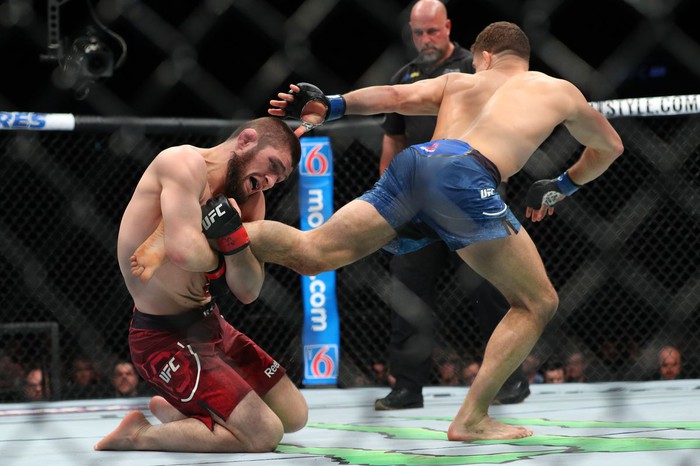 Khabib hé lộ bí quyết hạ gục Gaethje: Tôi sẽ sử dụng những đòn vật, anh ta có thể phòng thủ một lần nhưng 100 lần thì không - Ảnh 2.