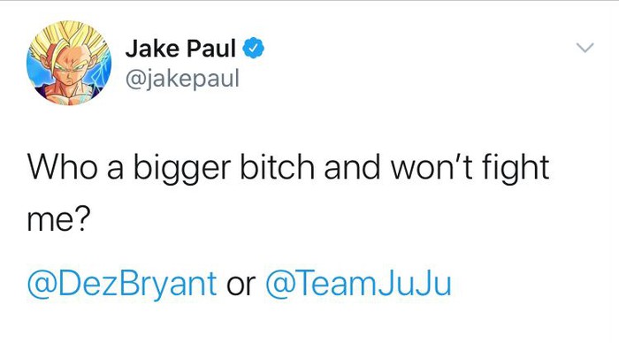 Youtuber Jake Paul thách thức LeBron James thượng đài sau khi hạ đo ván cựu sao NBA - Ảnh 5.