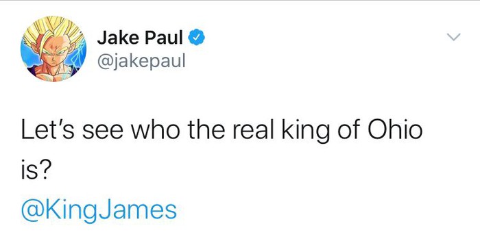 Youtuber Jake Paul thách thức LeBron James thượng đài sau khi hạ đo ván cựu sao NBA - Ảnh 3.