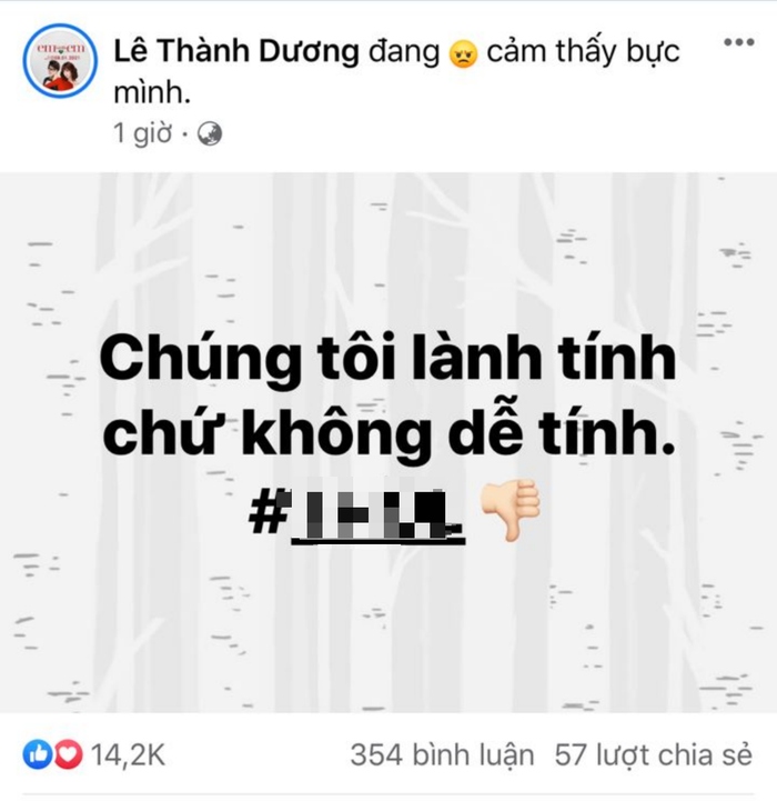 Dàn sao Việt đồng loạt phẫn nộ vì gymer văng tục xúc phạm, &quot;câu like&quot; từ đám tang NS Chí Tài, Nam Thư hé lộ thái độ của NS Hoài Linh - Ảnh 4.