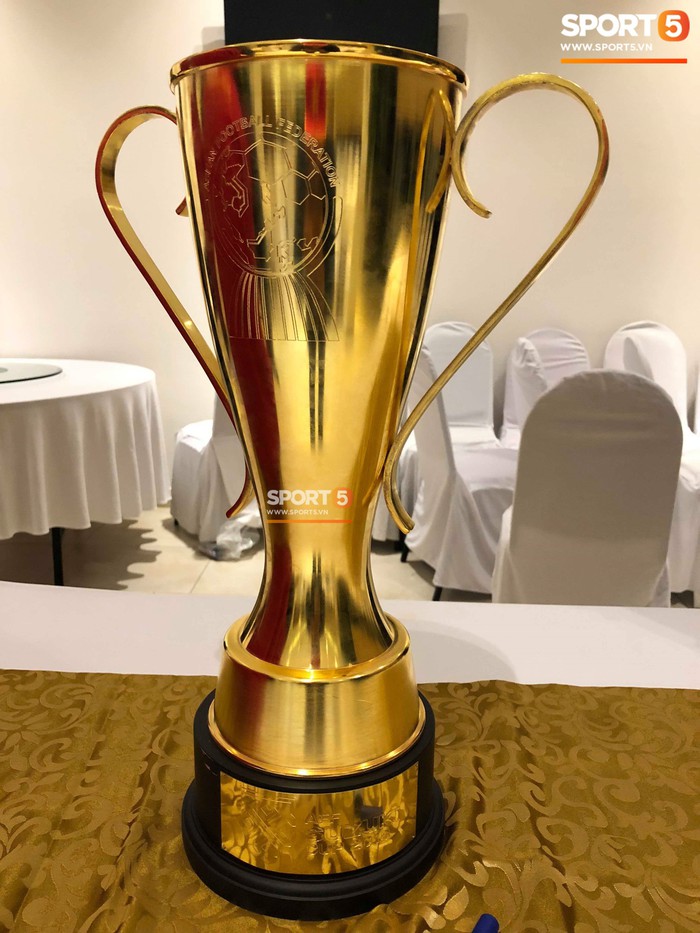 Vô địch, nhưng Tuyển Việt Nam chỉ được nhận bản mini của cúp vàng AFF Cup - Ảnh 2.