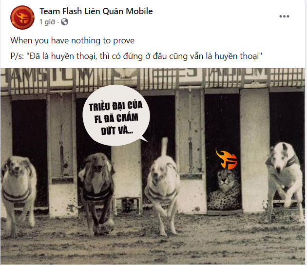 &quot;Cà khịa&quot; Team Flash, Saigon Phantom nhận trái đắng trong trận chung kết ĐTDV mùa Xuân 2021 - Ảnh 1.