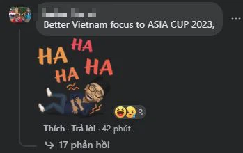 Fan Đông Nam Á gửi gấm hy vong vào ĐT Việt Nam giành vé đi tiếp World Cup 2022 tại Qatar  - Ảnh 10.