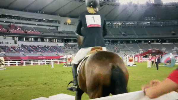Chuyện giờ mới kể tại Olympic: HLV bị cấm làm nhiệm vụ vì hành hung ngựa của ban tổ chức - Ảnh 1.