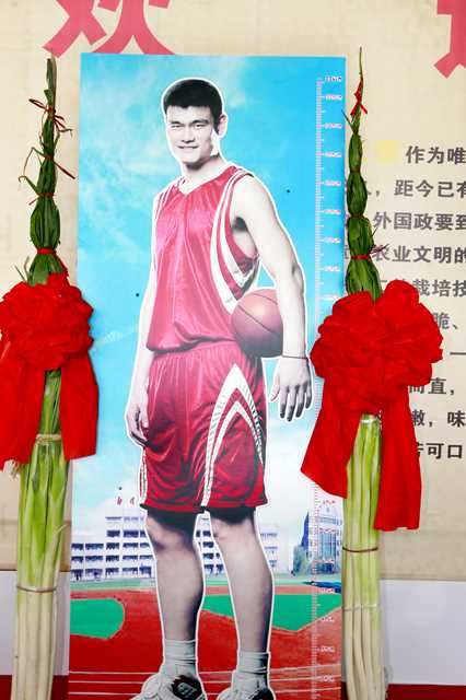 Người hâm mộ đã tận dụng Yao Ming làm thang đo so sánh như thế nào? - Ảnh 5.