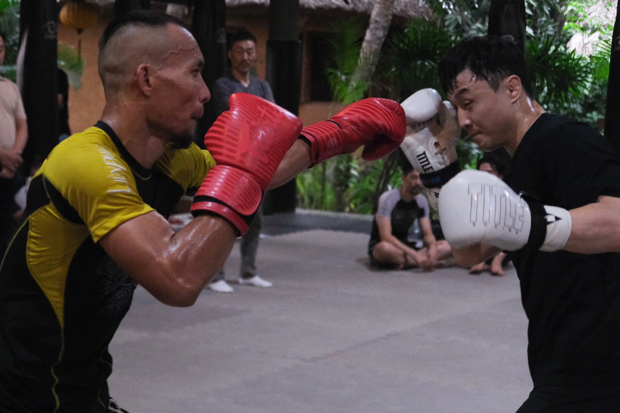 Ngôi sao UFC Hàn Quốc đến thăm võ đường MMA lâu đời nhất Việt Nam - Ảnh 3.