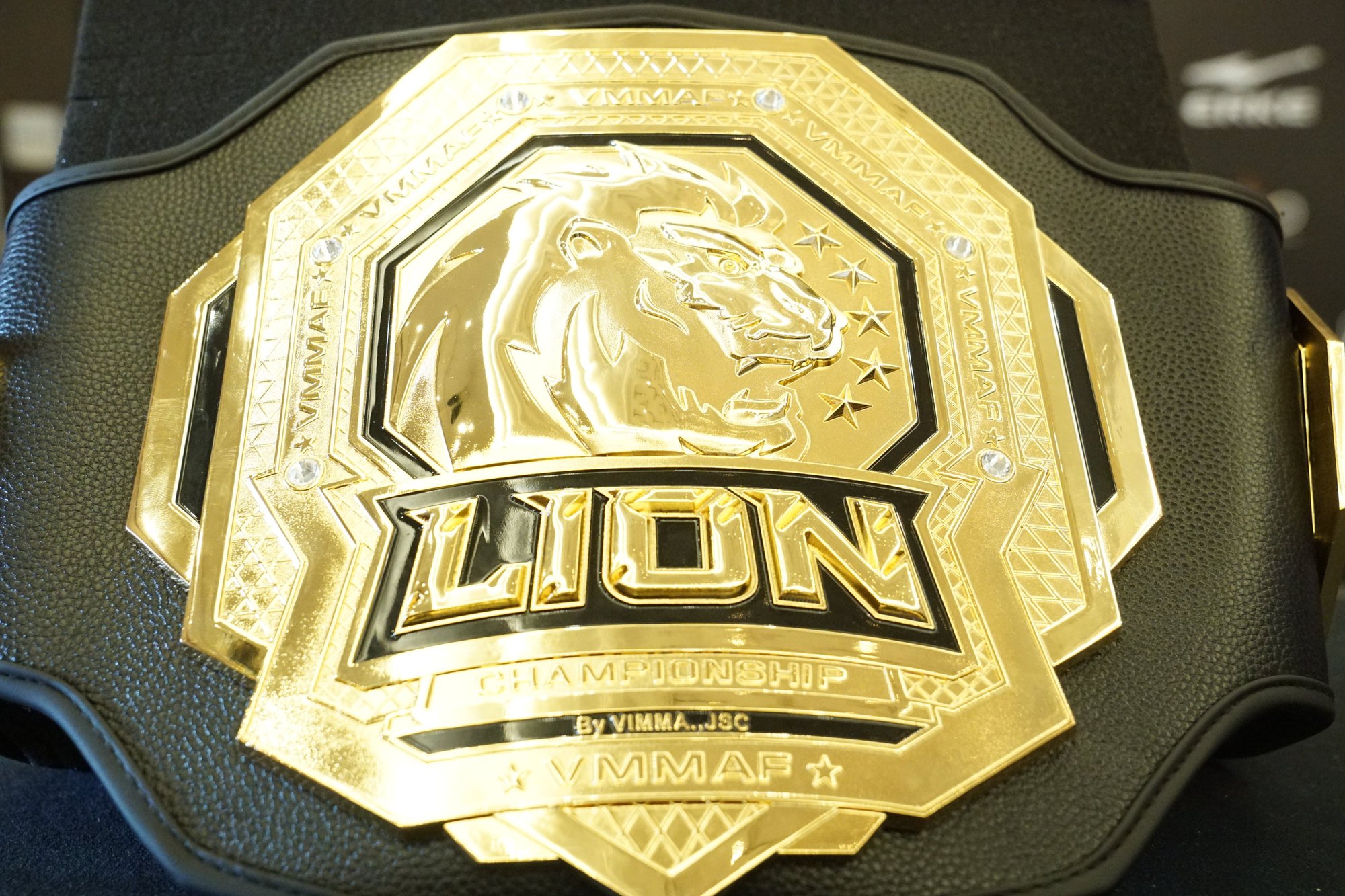 Cận cảnh chiếc đai vô địch của giải đấu LION Championship - Ảnh 2.