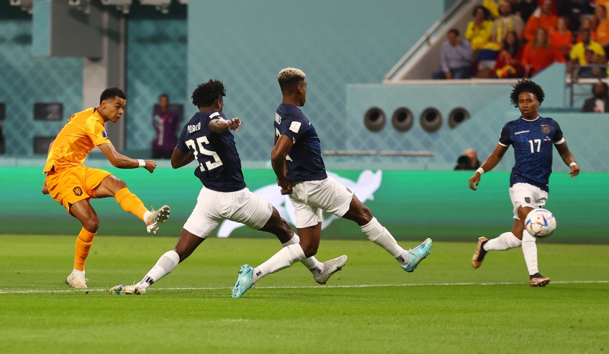 Ecuador và Hà Lan khiến chủ nhà Qatar bị loại từ vòng bảng World Cup 2022 - Ảnh 4.