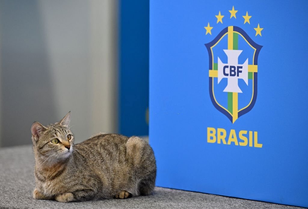Nhân vật đặc biệt xuất hiện trong buổi họp báo của sao Brazil tại World Cup 2022 - Ảnh 3.
