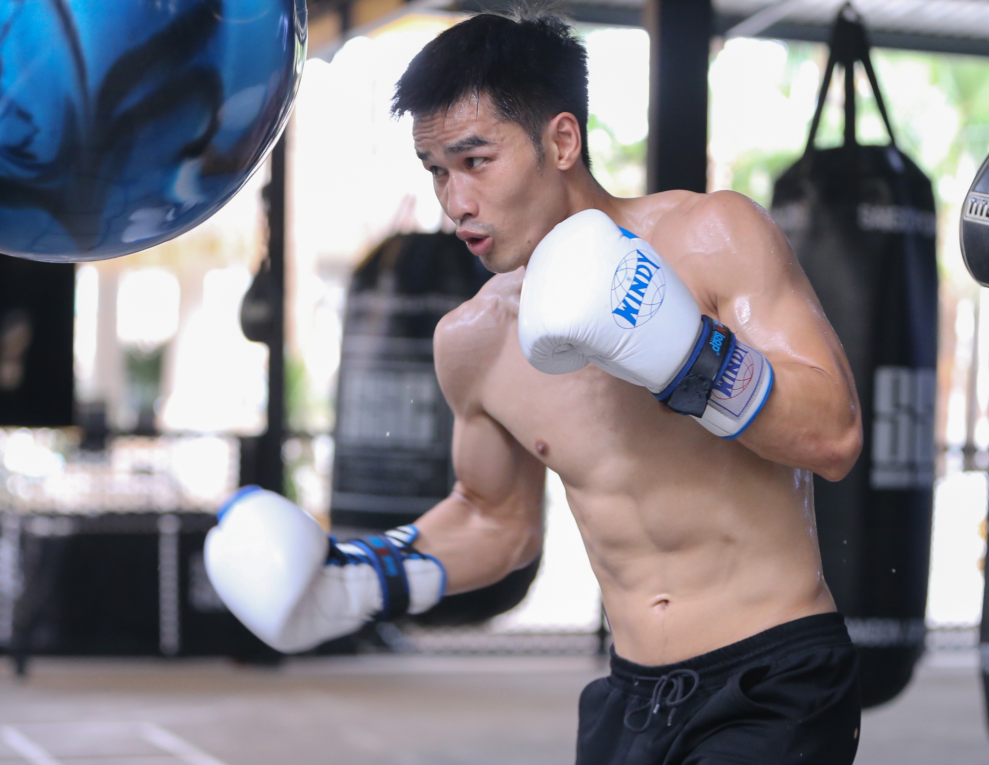 Ngắm dàn võ sĩ 'nam thần' Việt Nam chuẩn bị tranh đai WBA châu Á - Ảnh 4.