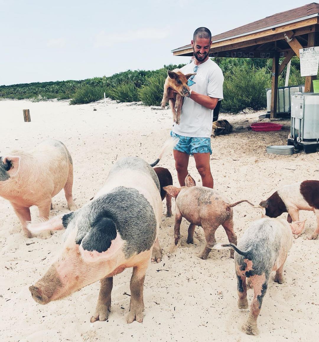 Sao Real thích thú chơi đùa cùng bầy lợn trên bãi biển - Ảnh 1.
