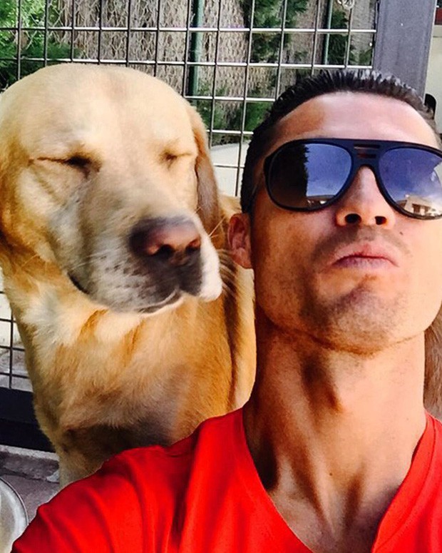 Soi cún cưng của các siêu sao: Ronaldo dùng chó để tán gái, Messi thì sở hữu anh bạn cực bự nhưng chó của Beckham mới là sướng nhất