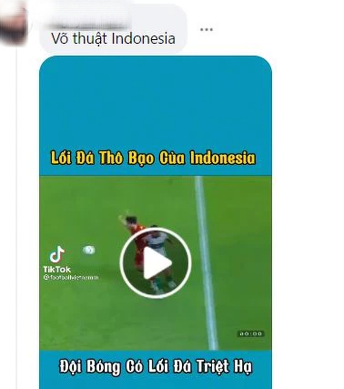Fan Indonesia: ĐT Việt Nam không hơn gì Lào, cầu thủ cũng chơi bóng bạo lực không kém Indonesia - Ảnh 3.