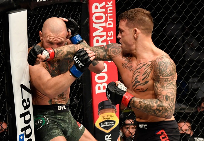 Jake Paul khẳng định hết hứng đấu boxing với Conor McGregor vì &quot;anh ta còn chẳng thắng nổi tại MMA&quot; - Ảnh 1.