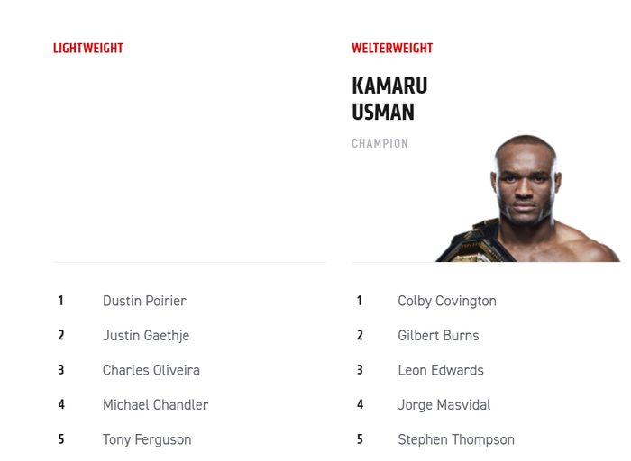 UFC chính thức xóa Khabib khỏi BXH, &quot;Đại bàng&quot; không còn là nhà vô địch của giải đấu - Ảnh 1.