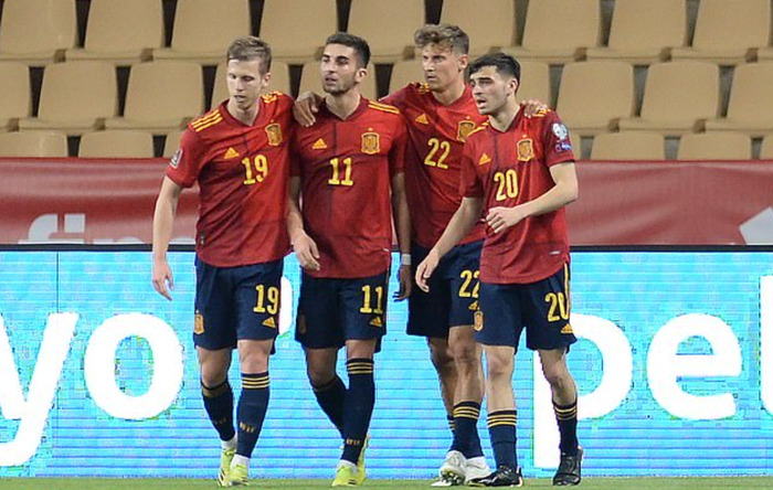 HLV tuyển Tây Ban Nha gặp sự cố hi hữu, buộc phải ra sân muộn ở trận đấu vòng loại World Cup - Ảnh 2.