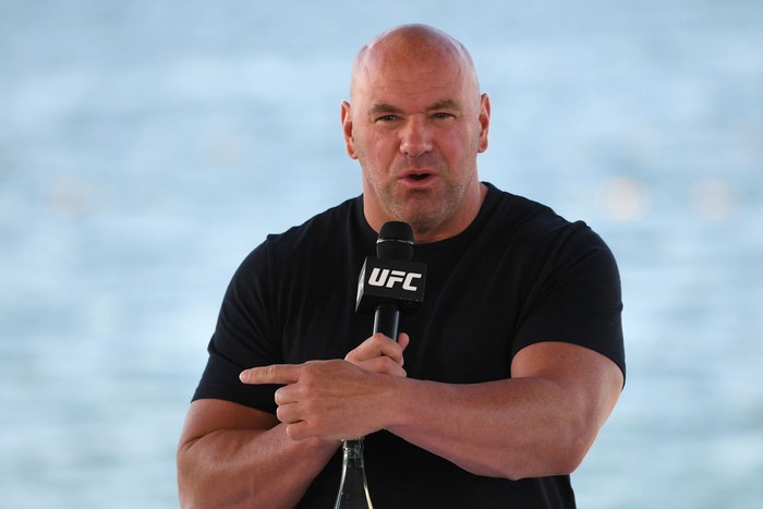 Youtuber Jake Paul chỉ trích Chủ tịch Dana White trả thù lao keo kiệt cho các võ sĩ UFC - Ảnh 3.