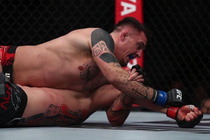 UFC London chứng kiến sự ra đời của một ngôi sao mới - cỗ máy chiến thắng Tom Aspinall - Ảnh 2.