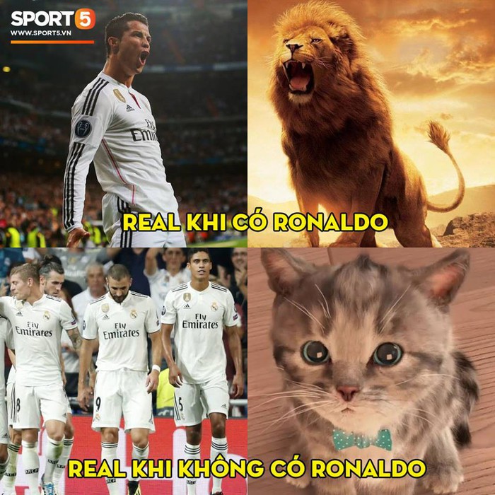 Ảnh chế Real Madrid hóa mèo khi vắng Ronaldo, fan 19 đội mong Mourinho không bị sa thải - Ảnh 1.