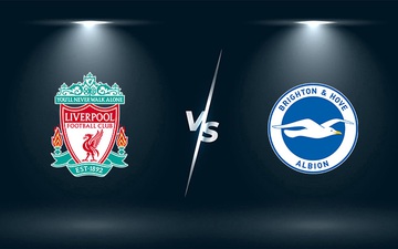 Nhận định, soi kèo, dự đoán Liverpool vs Brighton (vòng 10 Ngoại hạng Anh)