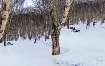 VĐV trượt tuyết tử nạn vì va phải gốc cây