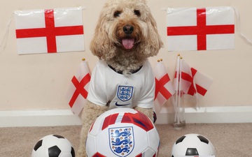 Nàng chó thông minh nhất nước Anh dự đoán chiến thắng cho đội nhà