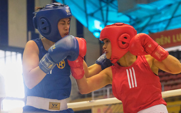 Giải vô địch Boxing các đội mạnh toàn quốc 2022 chuẩn bị khởi tranh