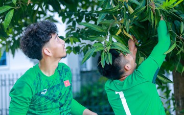 Cầu thủ U19 Việt Nam thi nhau hái xoài, giúp đàn chị đội tuyển nữ tìm dép