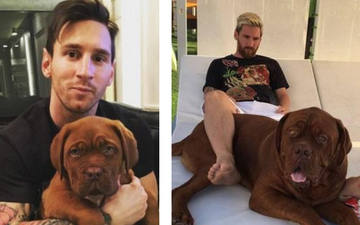 Messi "hành hạ" cún cưng không thương tiếc